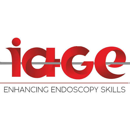 Indian Association of Gynecological Endoscopists (IAGE) logo